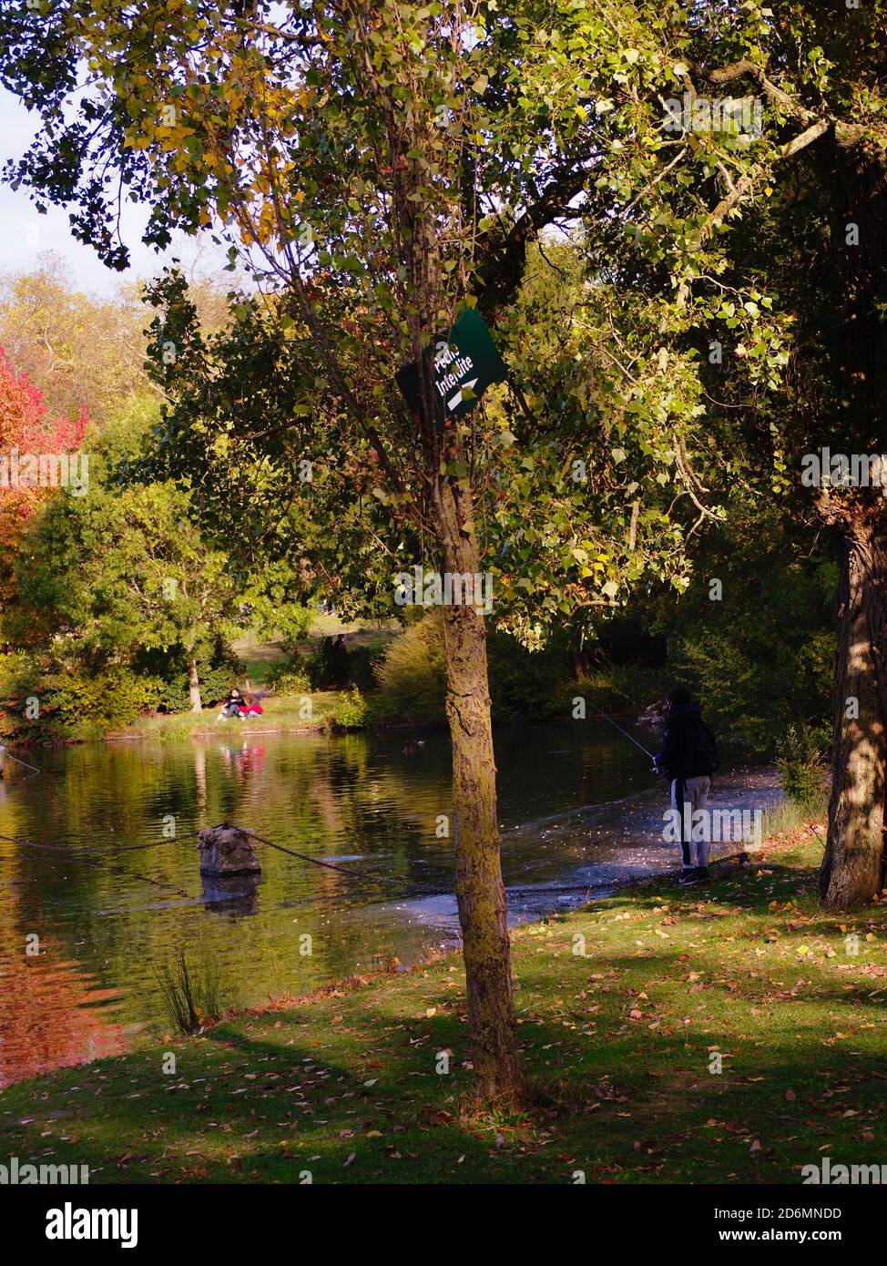 Herbstsonniger Tag an einem See in Paris Bois de Vincennes Stockfoto