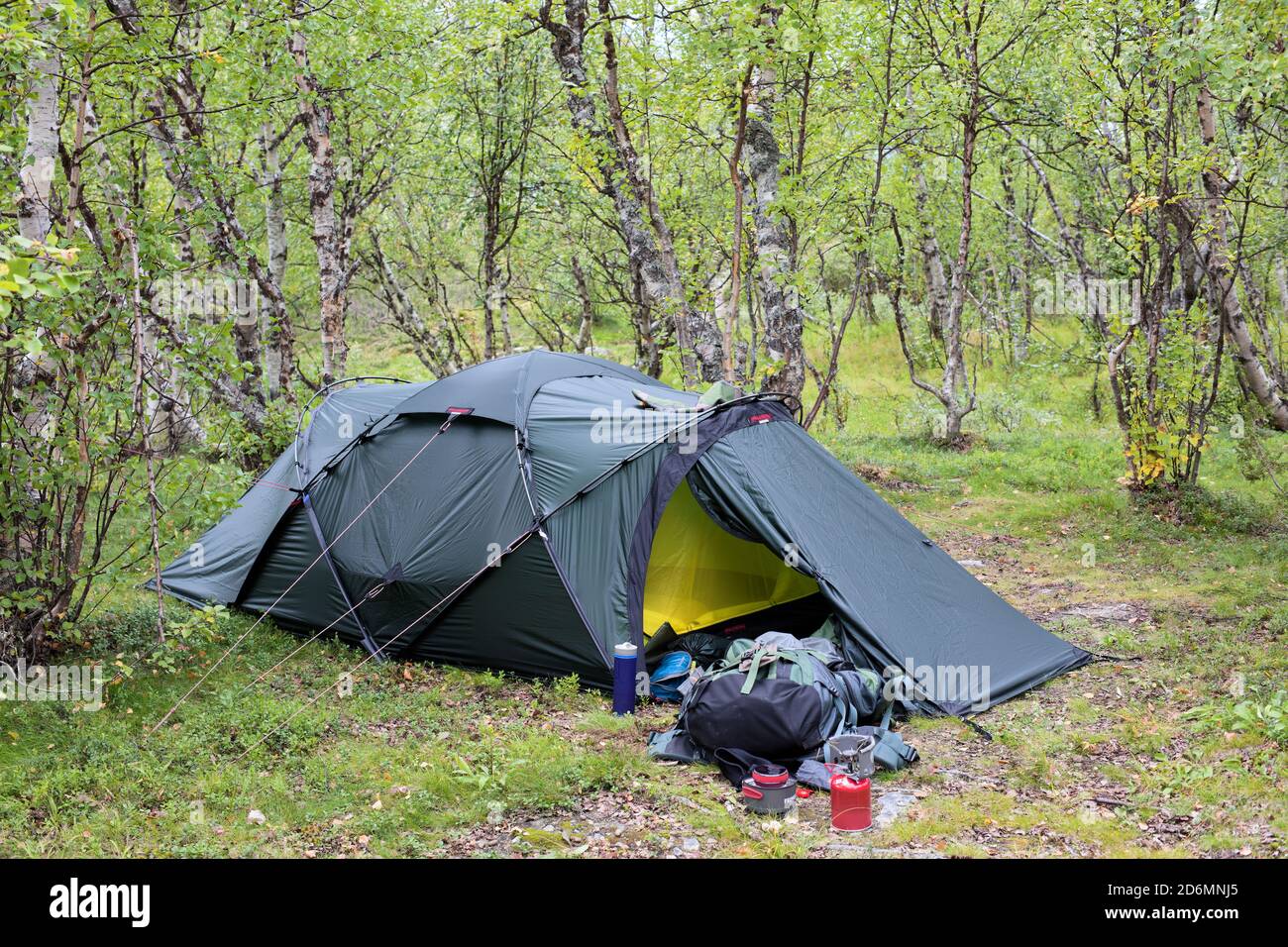 Hilleberg Tarra Zelt in den Wäldern des Vistas-Tals in Kebnekaise  Mountains, Norrbotten, Schweden Stockfotografie - Alamy