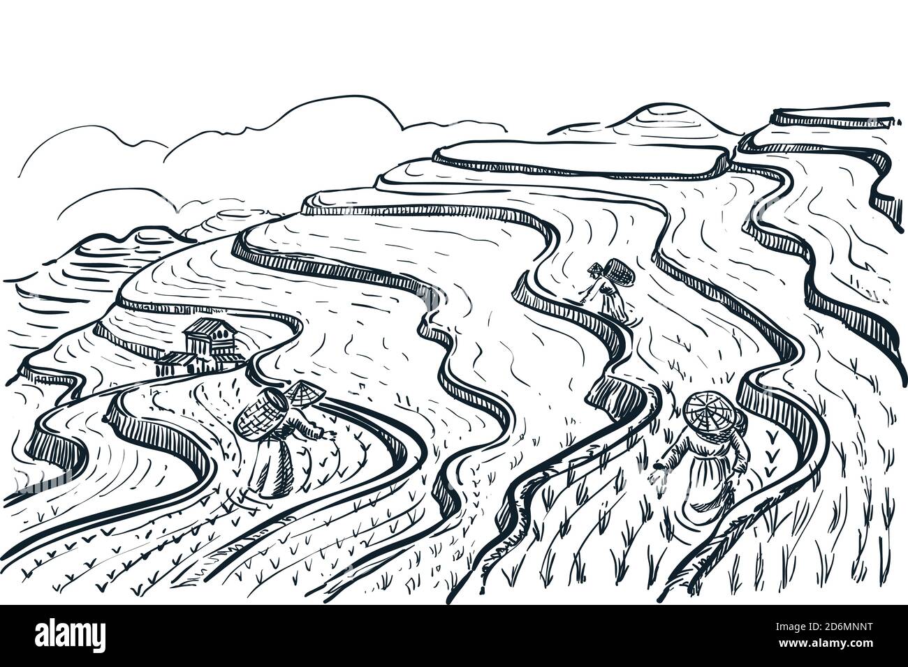 Reis Terrasse Felder Landschaft, Vektor-Skizze Illustration. Asiatische Landwirtschaft und Ernte Jahrgang Hintergrund. China ländliche Natur Blick. Stock Vektor