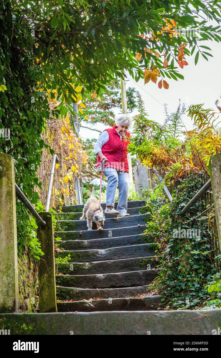 Ältere Rentner Rentner Rentner Rentner zu Fuß Hund die Radikale Schritte bei Kirkby Lonsdale England Stockfoto