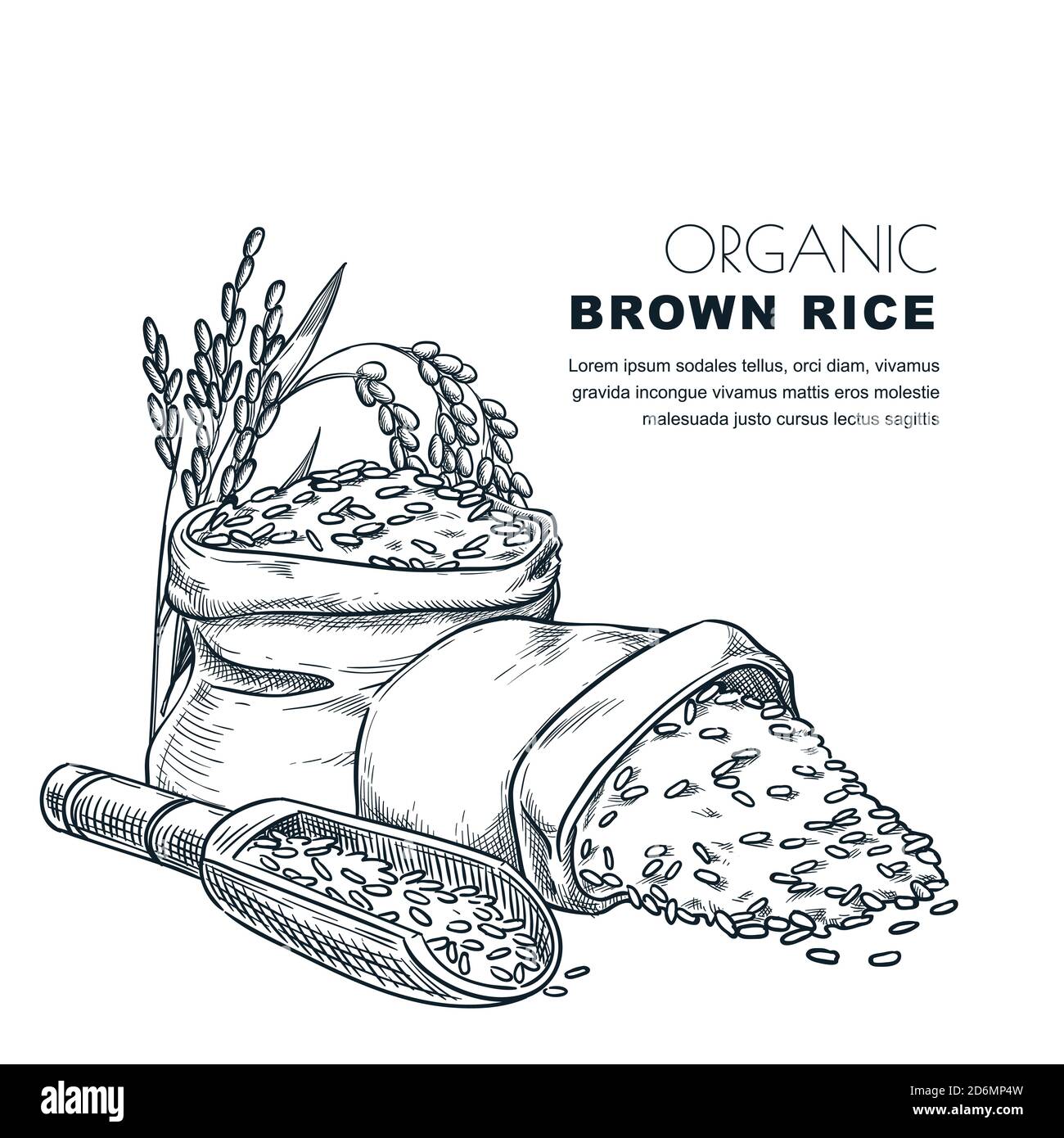 Design-Vorlage für Reiskabel. Skizzenvektor Illustration von Getreideohren, Holzlöffel und Sack. Bio-Reis-Paket Hintergrund. Stock Vektor
