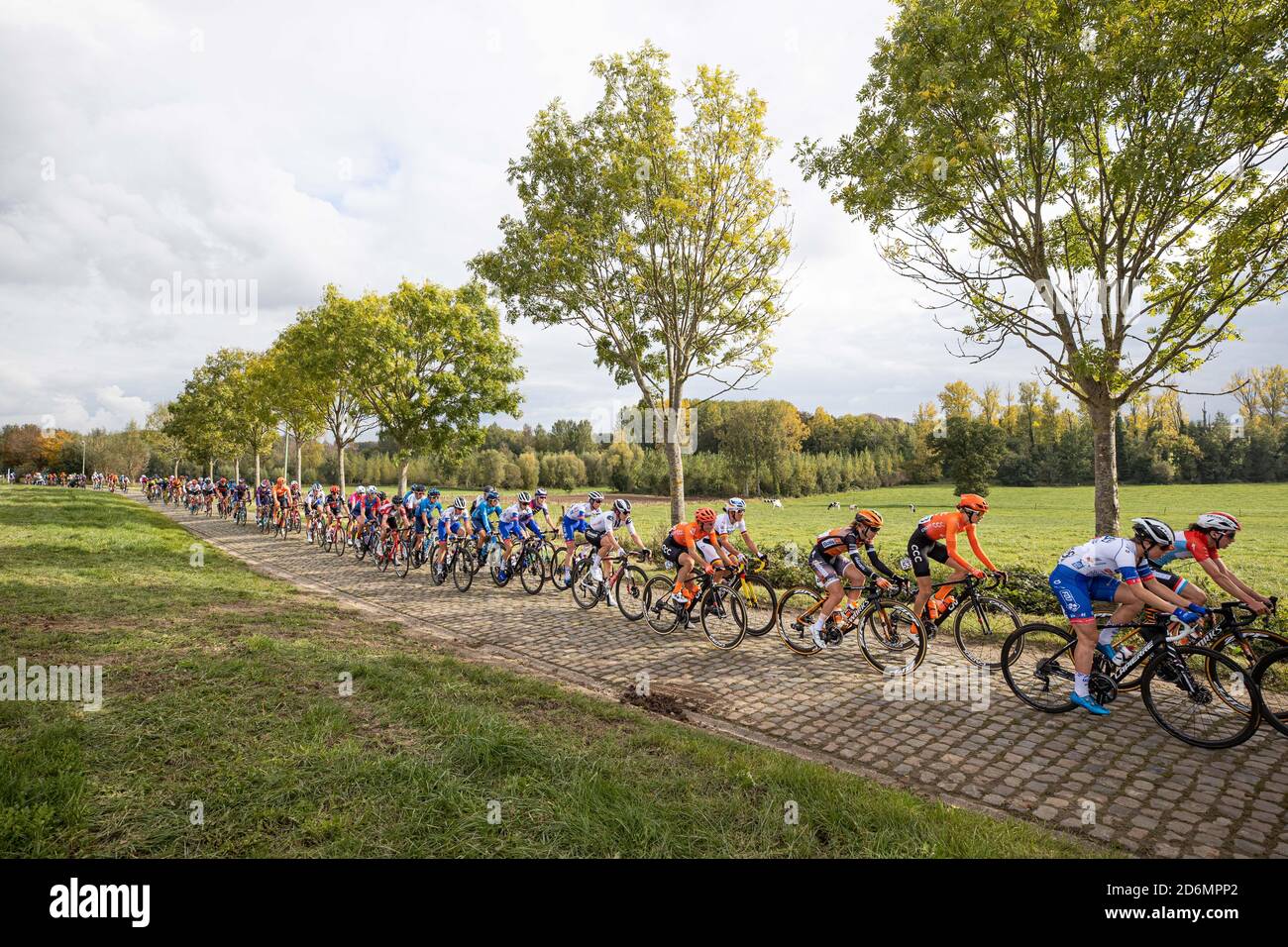 OUDENAARDE, 18-10-2020, Radsport, Ronde van Vlaanderen, vrouwen peloton tijdens de ronde van vlaanderen traf amy pieters Stockfoto