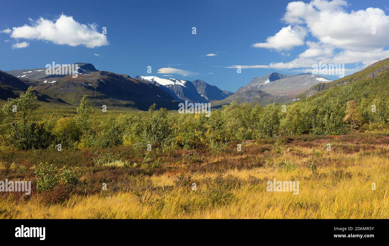 Sonnenschein in Vistasdalen, Norrbotten, Schweden Stockfoto