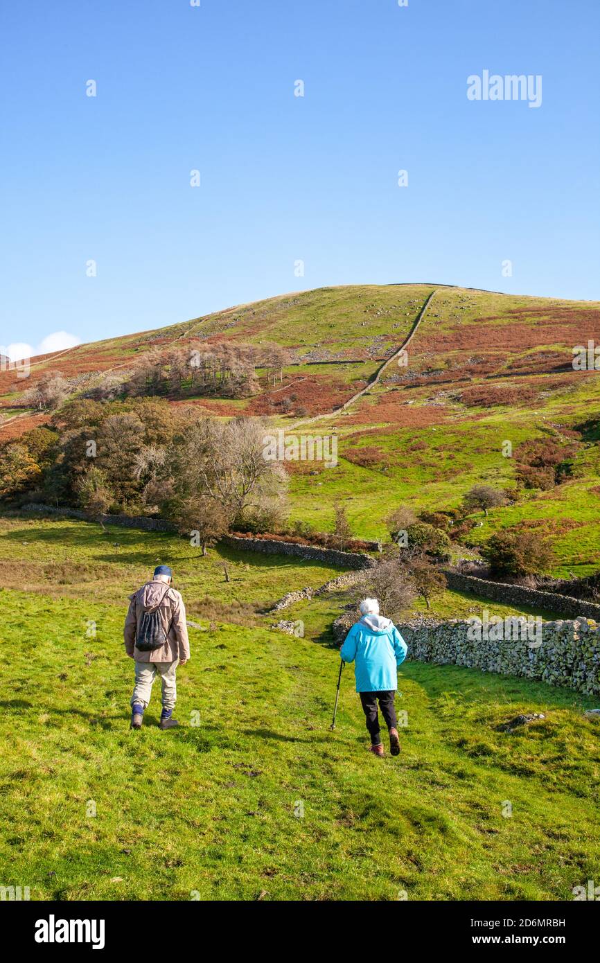 Ältere Mann und Frau Paar Rentner Senioren zu Fuß wandern Backpacking im Norden Yorkshire Dales in den Hügeln darüber Kirkby Lonsdale Stockfoto