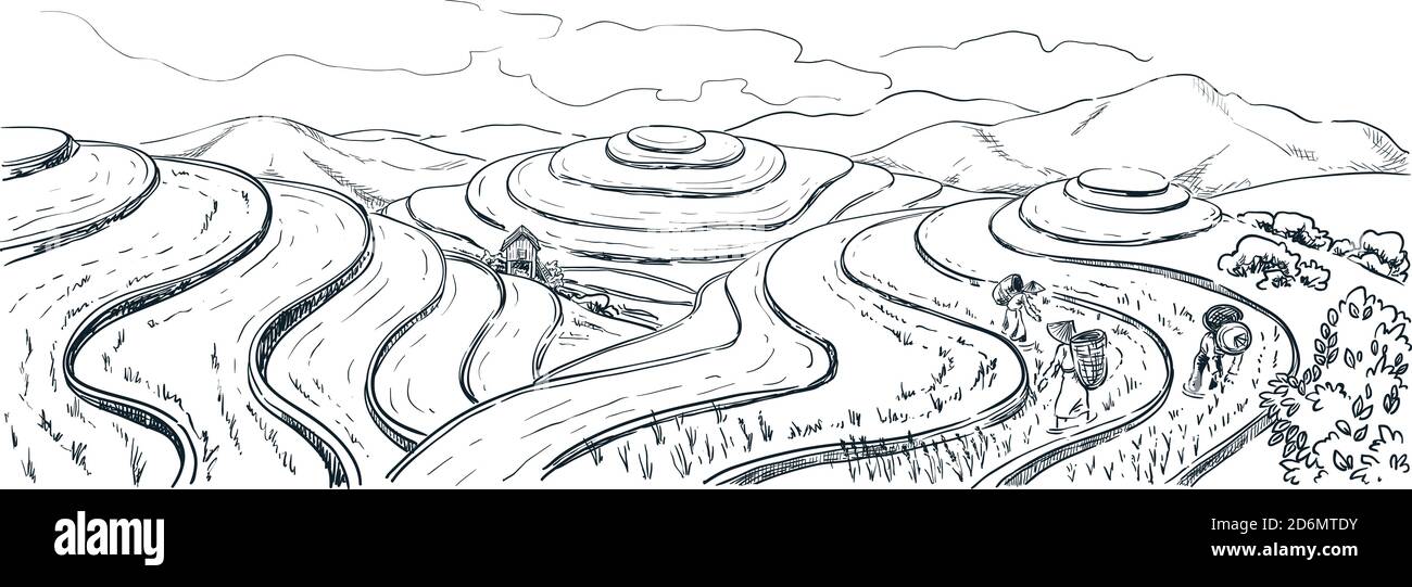 Reisterrassenfelder, Vektor-Skizze Landschaftsdarstellung. Asiatische Ernte Landwirtschaft vintage Hintergrund. China ländliche Natur Blick. Stock Vektor
