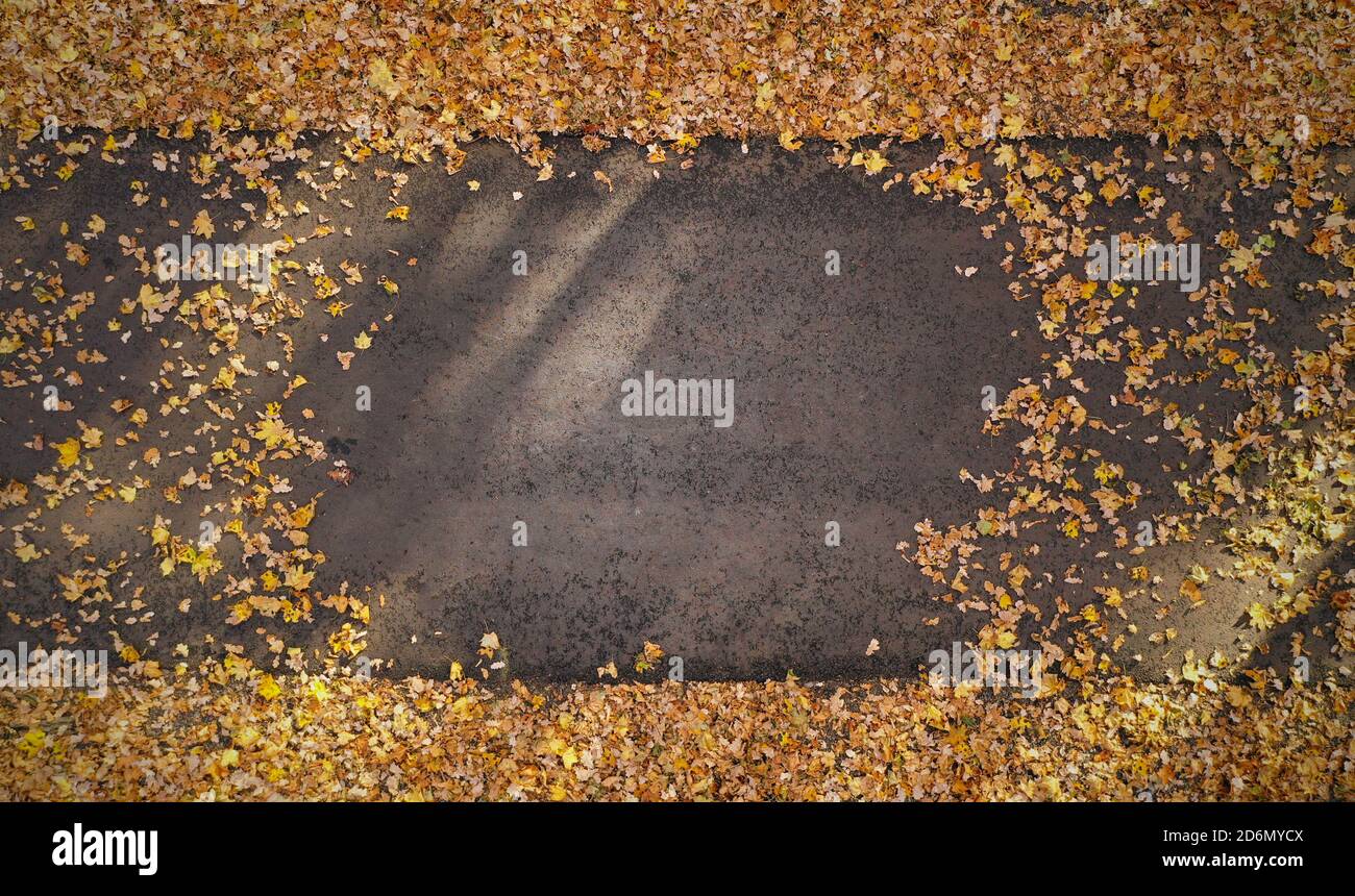 Ansicht des Fußweges mit Herbstblättern und Textraum von oben Stockfoto