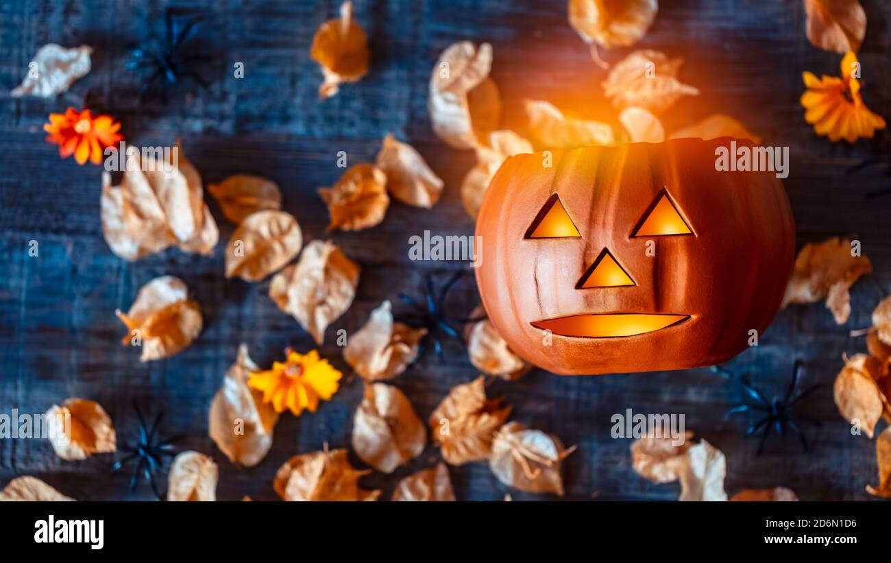 Geschnitzter Kürbis als Jack-o-Laterne mit grinsenden Gesicht. Gruselige Dekoration für Halloween Party. Festliches Stillleben über herbstlichen Blättern. Stockfoto