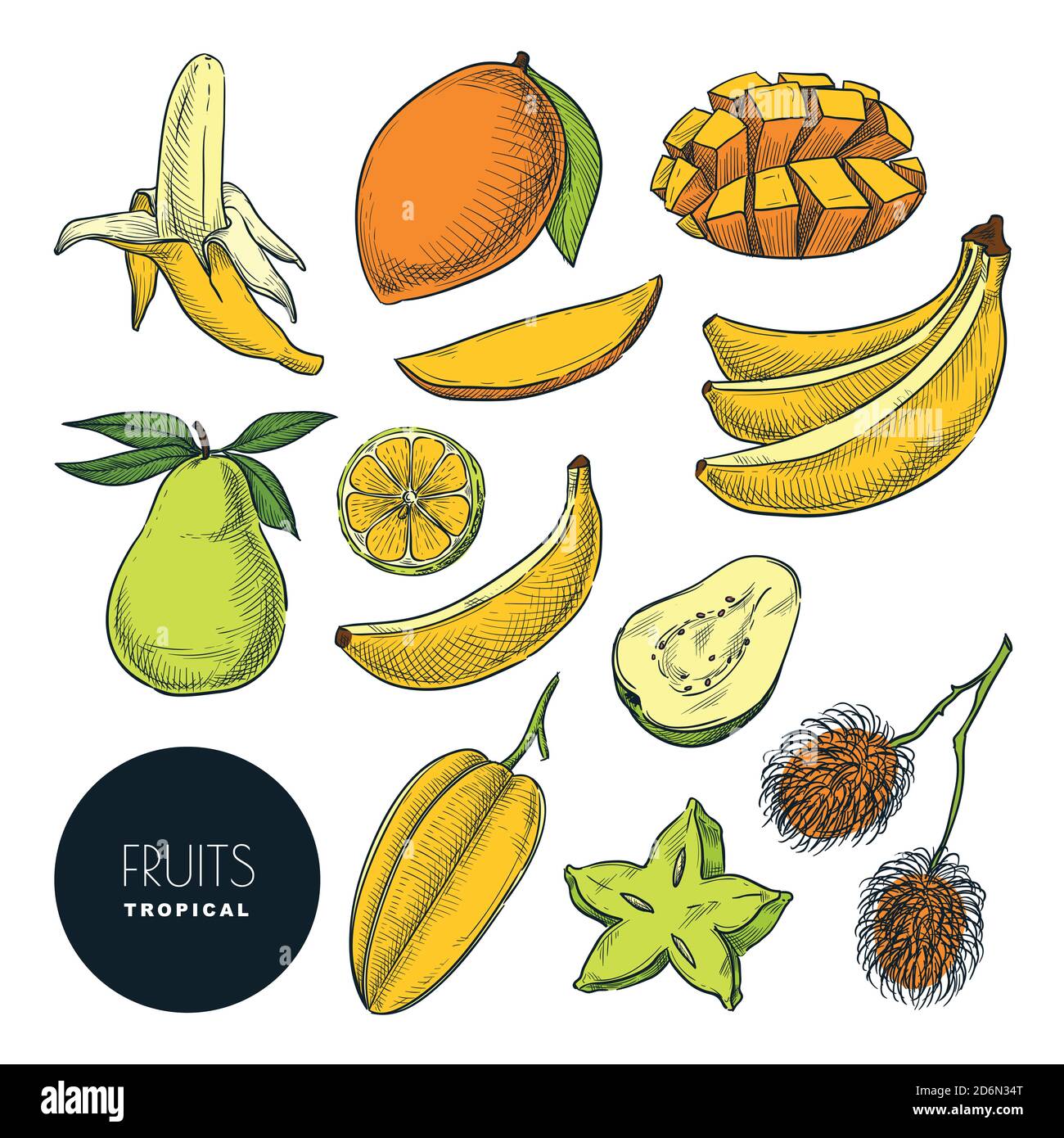Bananen und andere tropische exotische Früchte. Vektorfarbe Skizze Illustration. Handgezeichnete Design-Elemente und Symbole gesetzt. Natürliche schmackhafte Essenssammlung. Stock Vektor