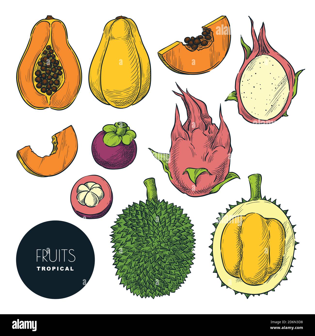Tropische Früchte isoliert auf weißem Hintergrund. Vektorfarbe Skizze Illustration und Design-Elemente gesetzt. Handgezeichnete tropisch leckere Lebensmittel. Stock Vektor