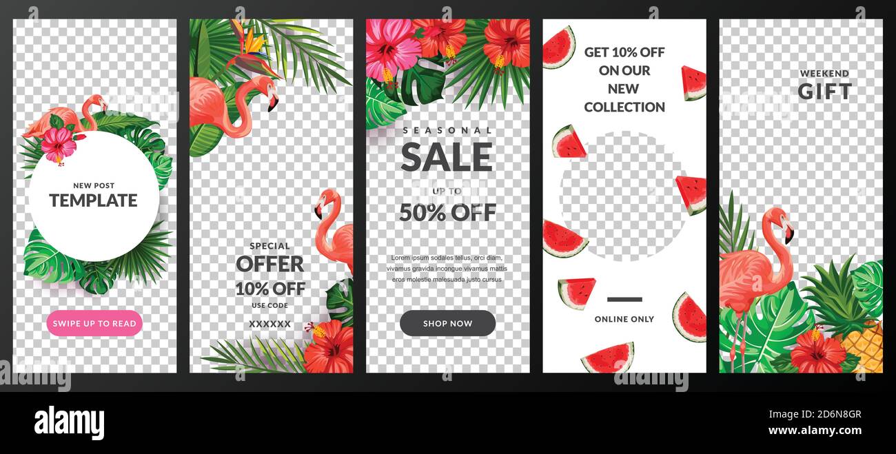Geschichten, Nachrichten oder neue Post-Vektor-Vorlage für soziale Netzwerke. Story Hintergrund mit tropischen Palmblättern und Flamingo. Modisches Sommerdesign für Mode Stock Vektor