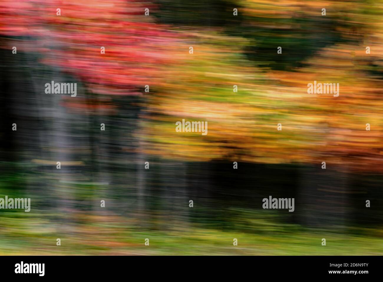 Herbstfarben Abstrakt Stockfoto