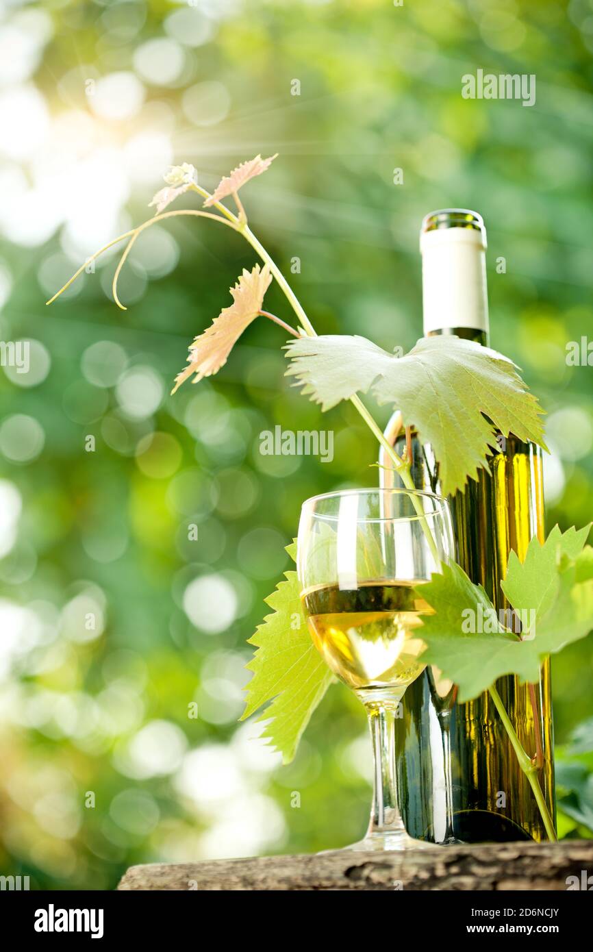 & Trauben Wein Stockfoto