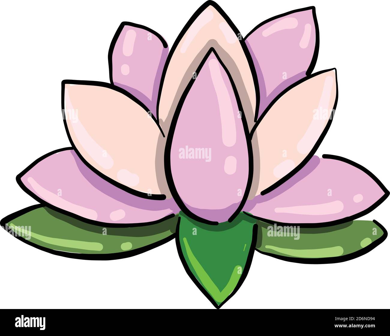 Pink Lotus, Illustration, Vektor auf weißem Hintergrund Stock Vektor