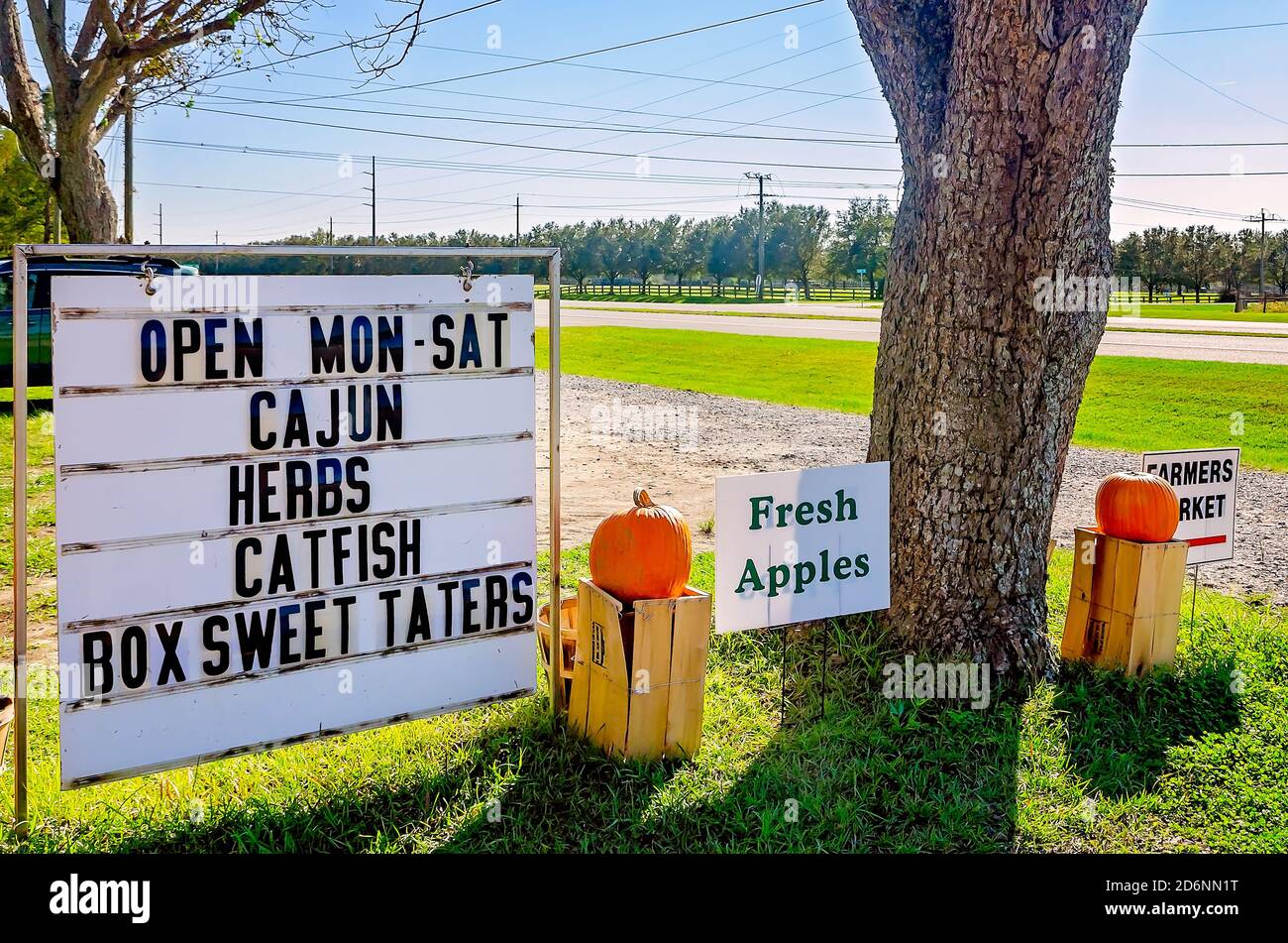 Kürbisse und andere saisonale Produkte werden auf dem McKenzie Farm Market am 17. Oktober 2020 in Fairhope, Alabama, ausgestellt. Stockfoto