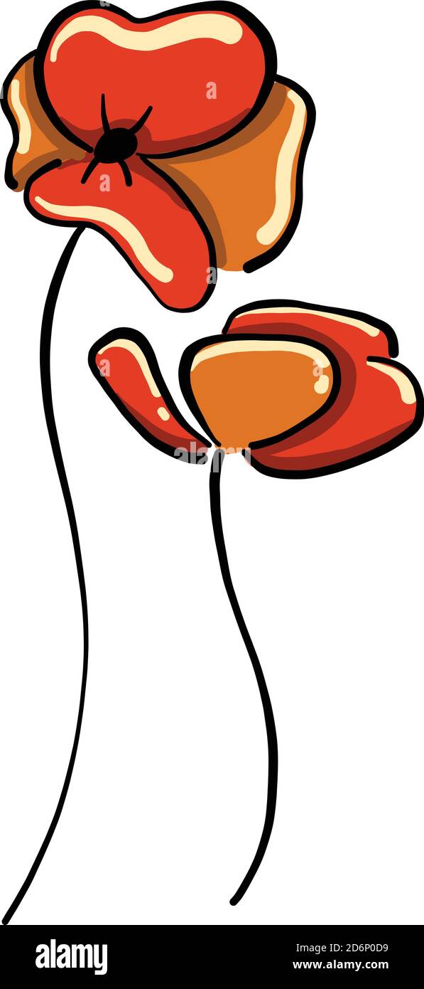 Roter Mohn, Illustration, Vektor auf weißem Hintergrund Stock Vektor