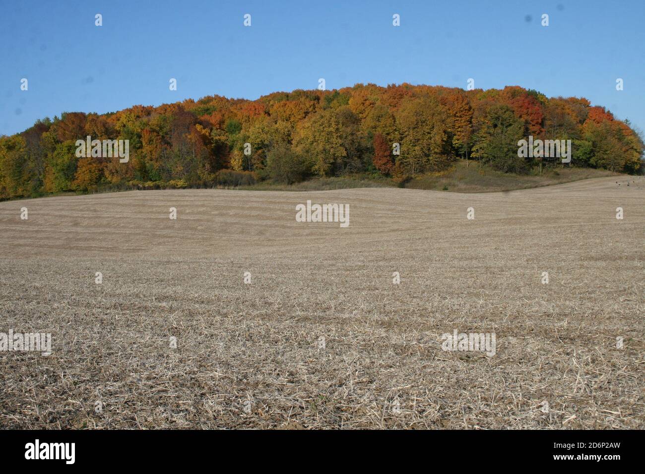 Herbst in Wisconsin, USA Stockfoto