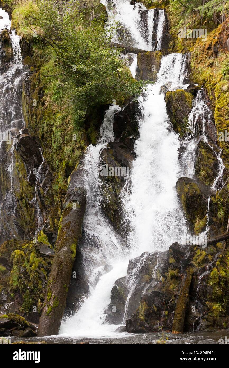 Das wunderschöne und wilde Wasser der National Creek Falls, wenn es über eine felsige Klippe im unberührten Wald der Southern Oregon Cascades rast. Stockfoto