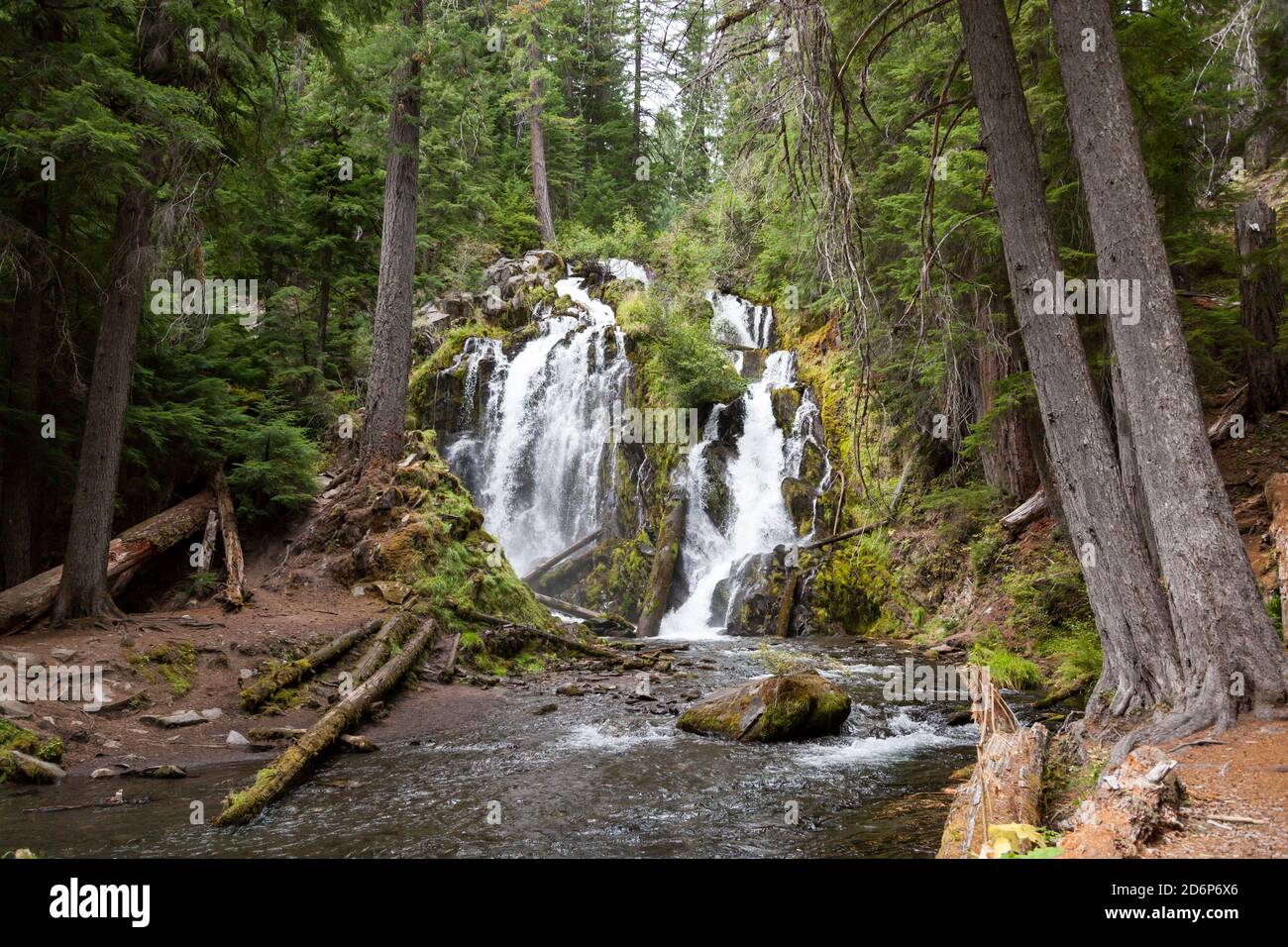 Das wunderschöne und wilde Wasser der National Creek Falls, wenn es über eine felsige Klippe im unberührten Wald der Southern Oregon Cascades rast. Stockfoto