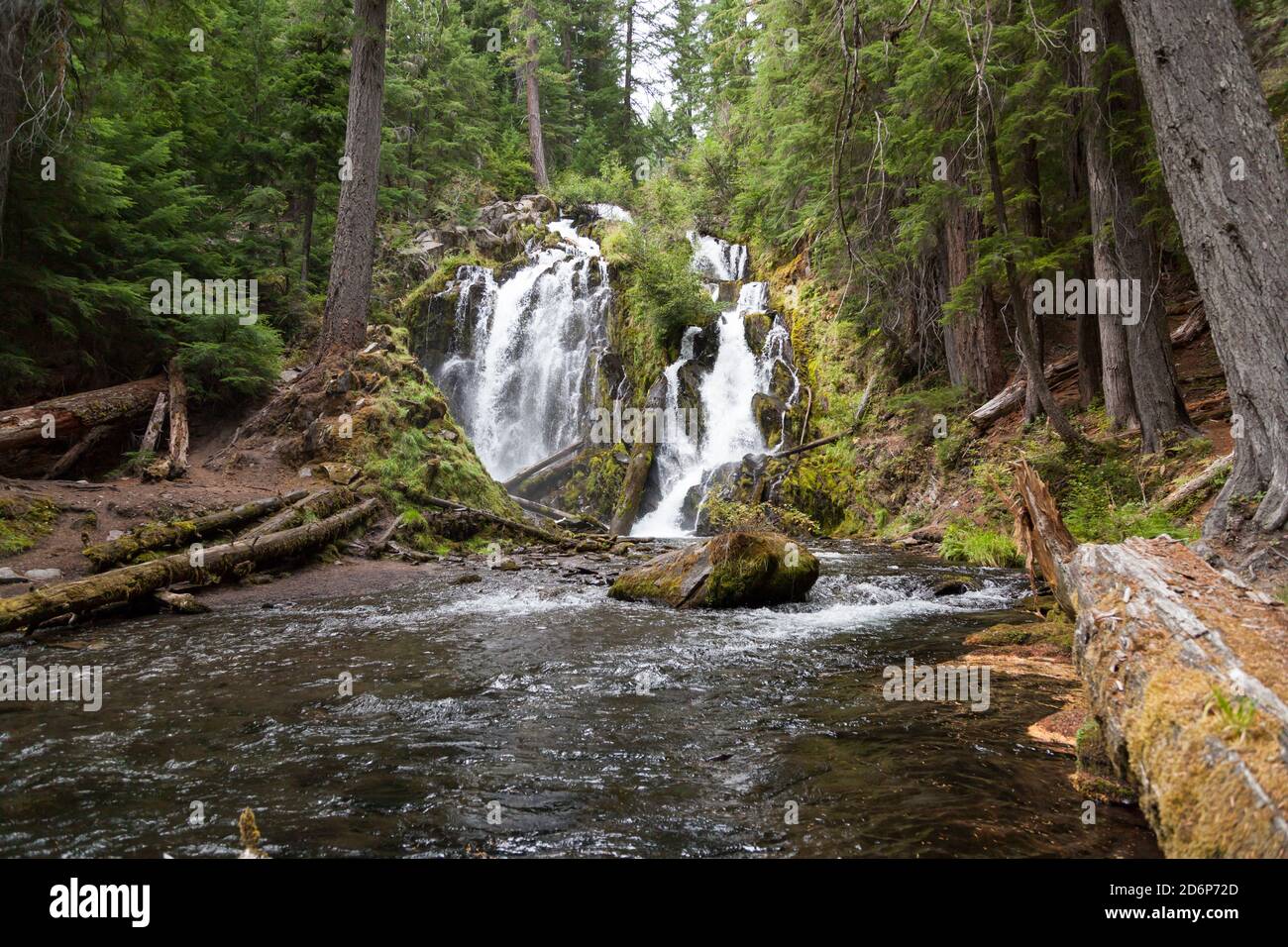 Das wunderschöne und wilde Wasser der National Creek Falls, wenn es über eine felsige Klippe im unberührten Wald der Southern Oregon Cascades rast. Stockfoto