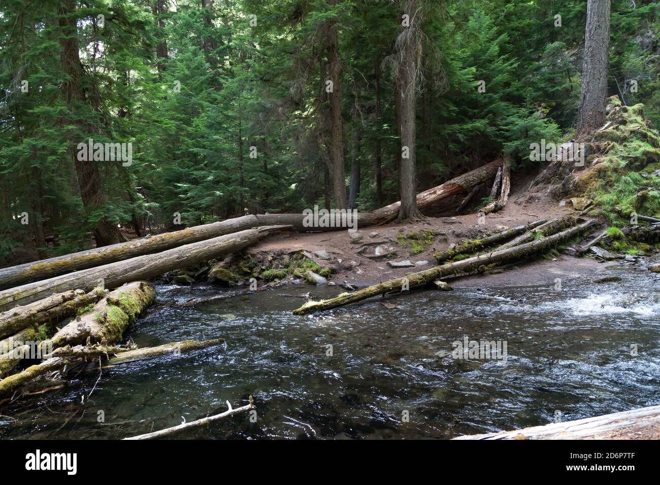 Klar, sauber und kalt National Creek rauscht durch den wilden und unberührten Rogue River - Siskiyou National Forest in den Southern Cascades von Oregon. Stockfoto