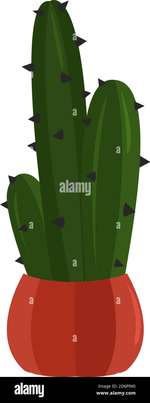 Hoher Kaktus, Illustration, Vektor auf weißem Hintergrund. Stock Vektor