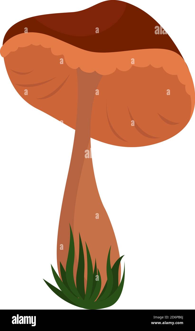 Einsamer Pilz, Illustration, Vektor auf weißem Hintergrund. Stock Vektor