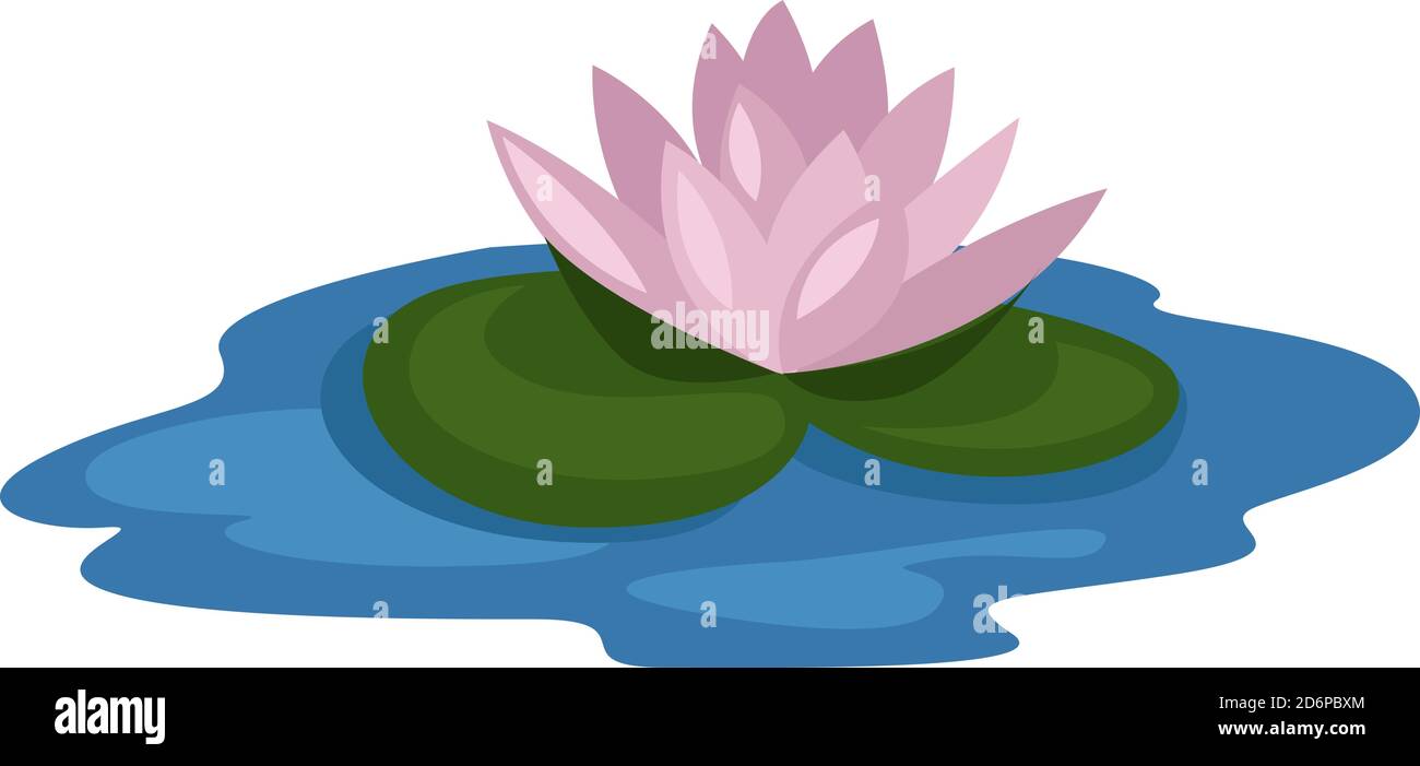 Wasser Blume, Illustration, Vektor auf weißem Hintergrund. Stock Vektor
