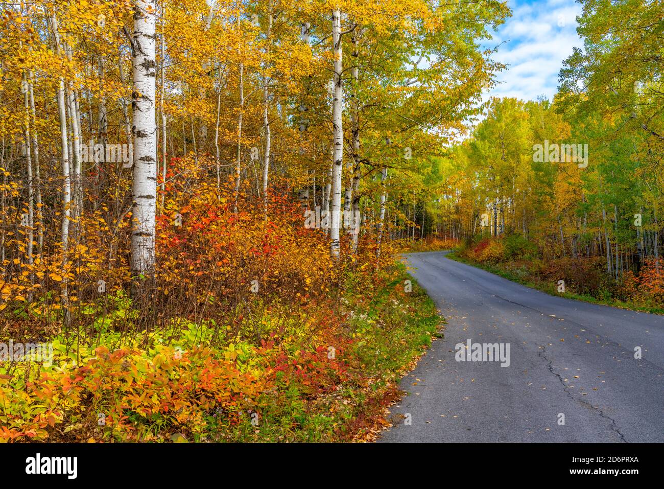 Herbstfärbung auf der Bergstraße von Mount McKay, Thunder Bay, Ontario, Stockfoto