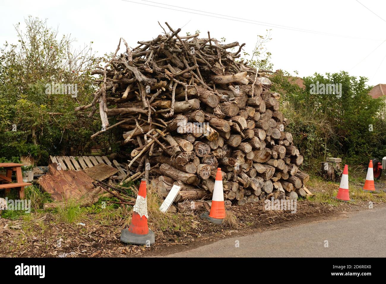 Oktober 20 - Holzstapel neben einer Landstraße in Mudgley Somerset, UK. Stockfoto