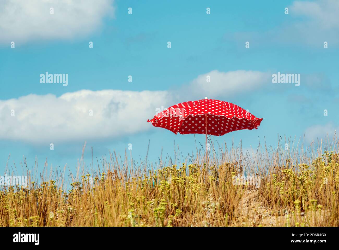 Ein roter Sonnenschirm mit weißen Punkten in einem grünen und Trockenes Gras am Sandstrand Selektive Konzentration Stockfoto