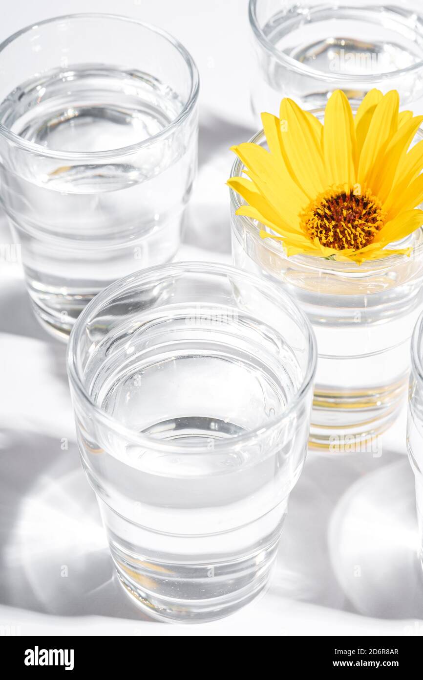 Frisches klares Wasser Getränk mit gelber Blume im Glas auf weißem Hintergrund, hartes Licht kreative Komposition, Winkelansicht Stockfoto