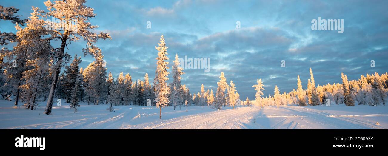 Panoramablick auf die verschneite Landschaft bei Sonnenuntergang, gefrorene Bäume im Winter in Saariselka, Lappland, Finnland Stockfoto