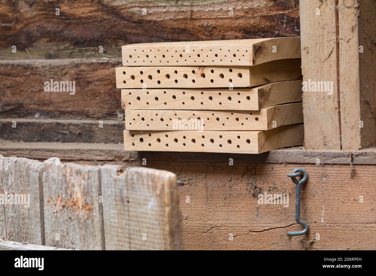 Selbstgemachte Insektenhotels für Wildbienen aus Holzbrettern, Deutschland Stockfoto