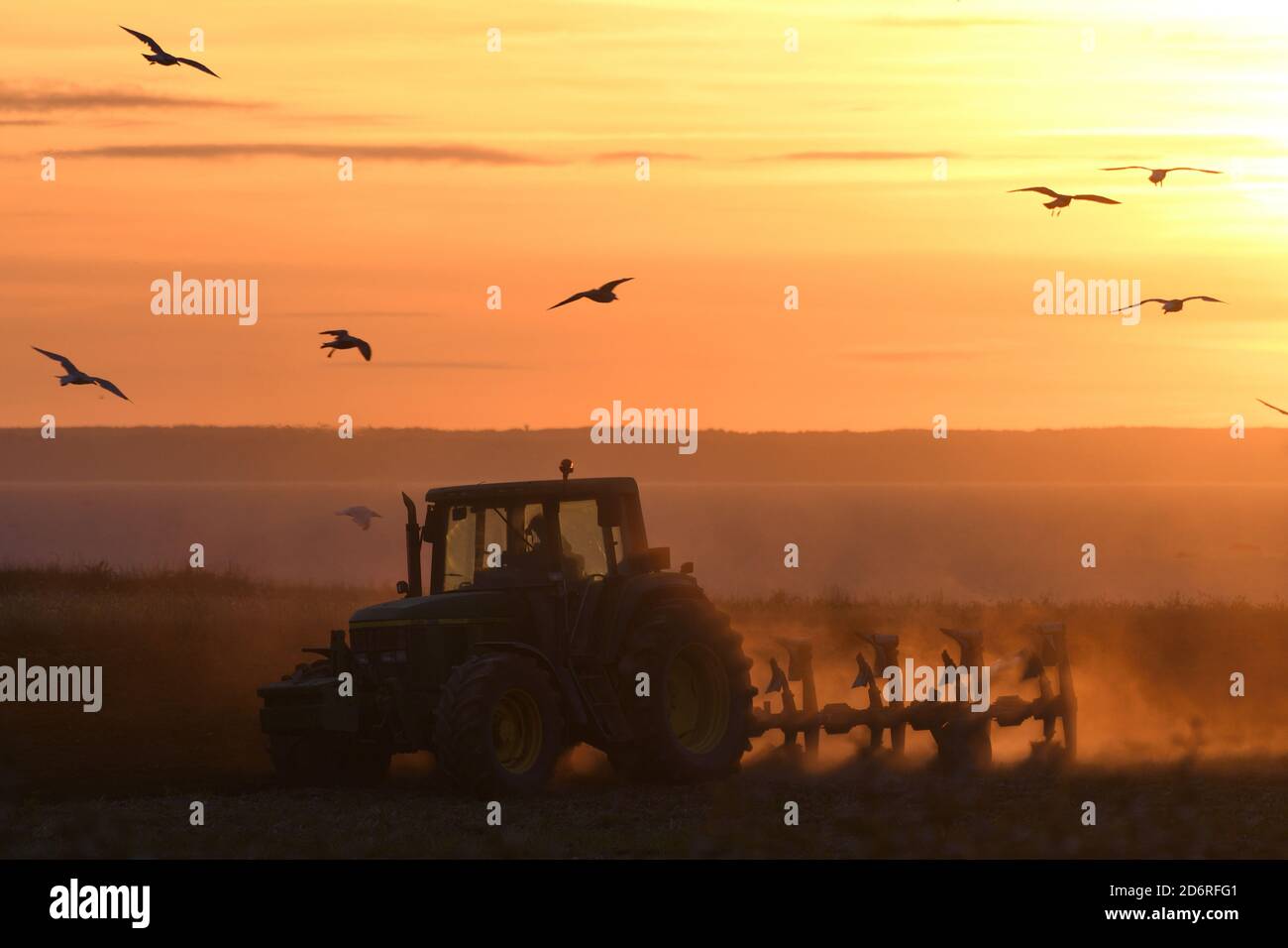 Bauer pflügt ein Feld in roten Abendlicht, Frankreich, Bretagne, Côtes-d’Armor, Erquy Stockfoto