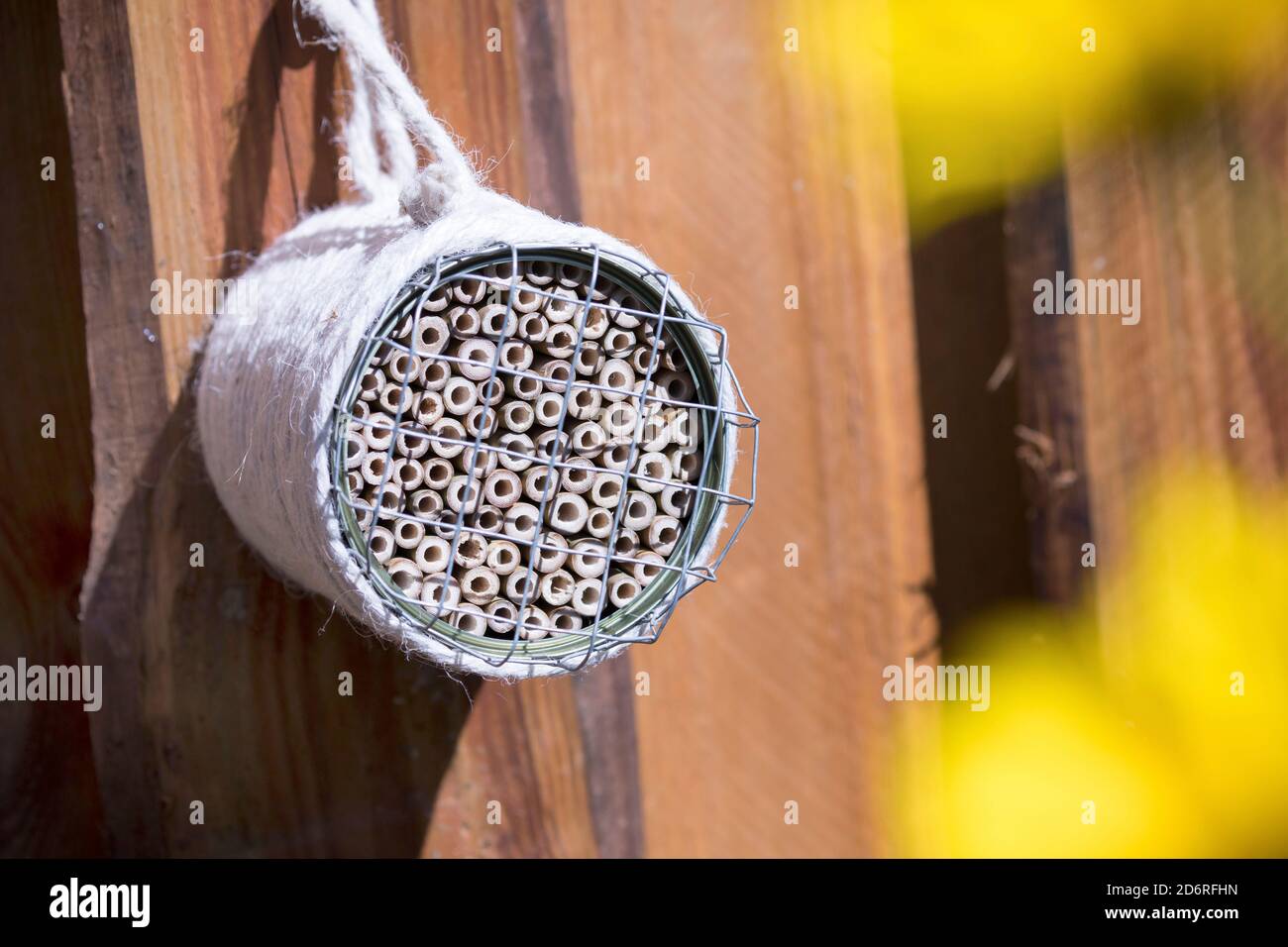 Selbstgebautes Insektenhotel für Wildbienen mit Bambusstämmen, Deutschland Stockfoto