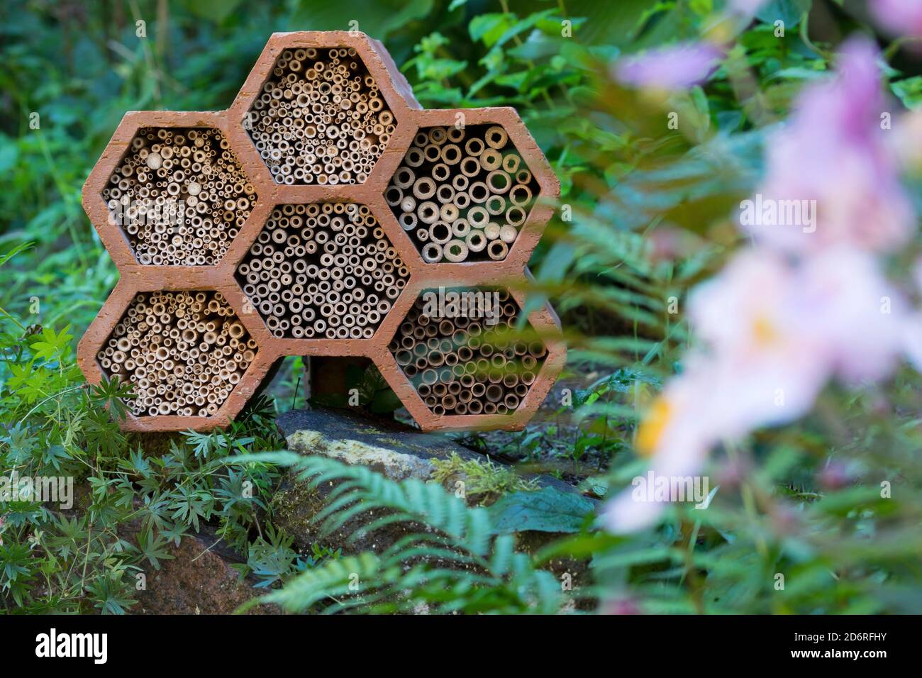 Selbstgebautes Insektenhotel für Wildbienen mit Bambus- und Schilfstielen, Deutschland Stockfoto