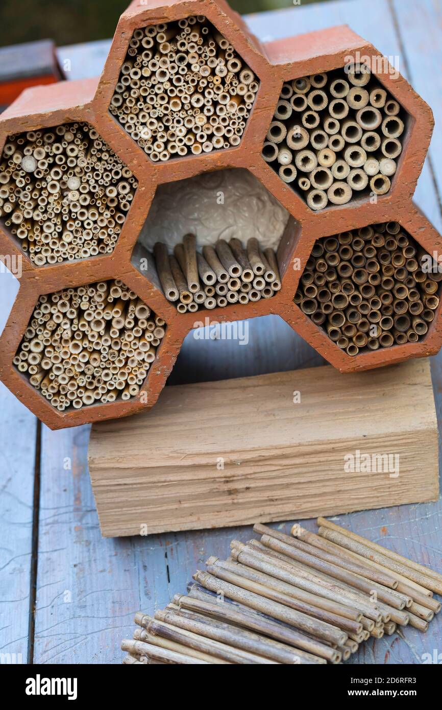 Selbstgebautes Insektenhotel für Wildbienen mit Bambus- und Schilfstielen, Deutschland Stockfoto