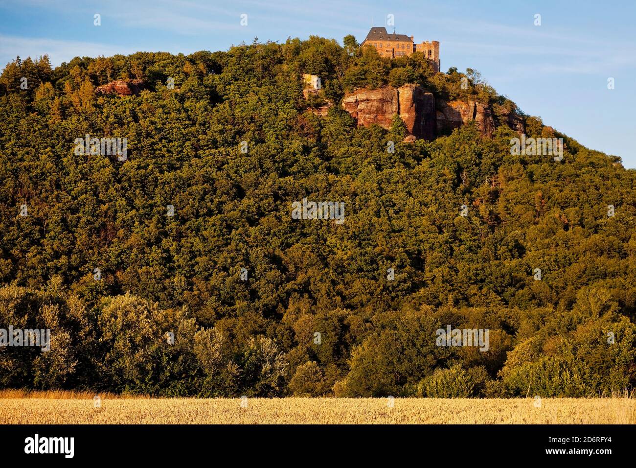 Schloss Nideggen hoch über dem Rurtal, Deutschland, Nordrhein-Westfalen, Eifel, Nideggen Stockfoto