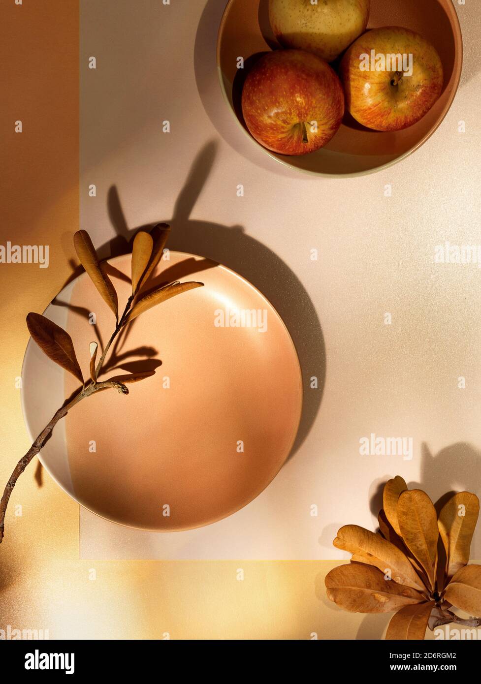 Herbst flach legen mit Tellern, trockenen Blättern und Äpfeln auf Papier Hintergrund mit Schatten von der Sonne Stockfoto
