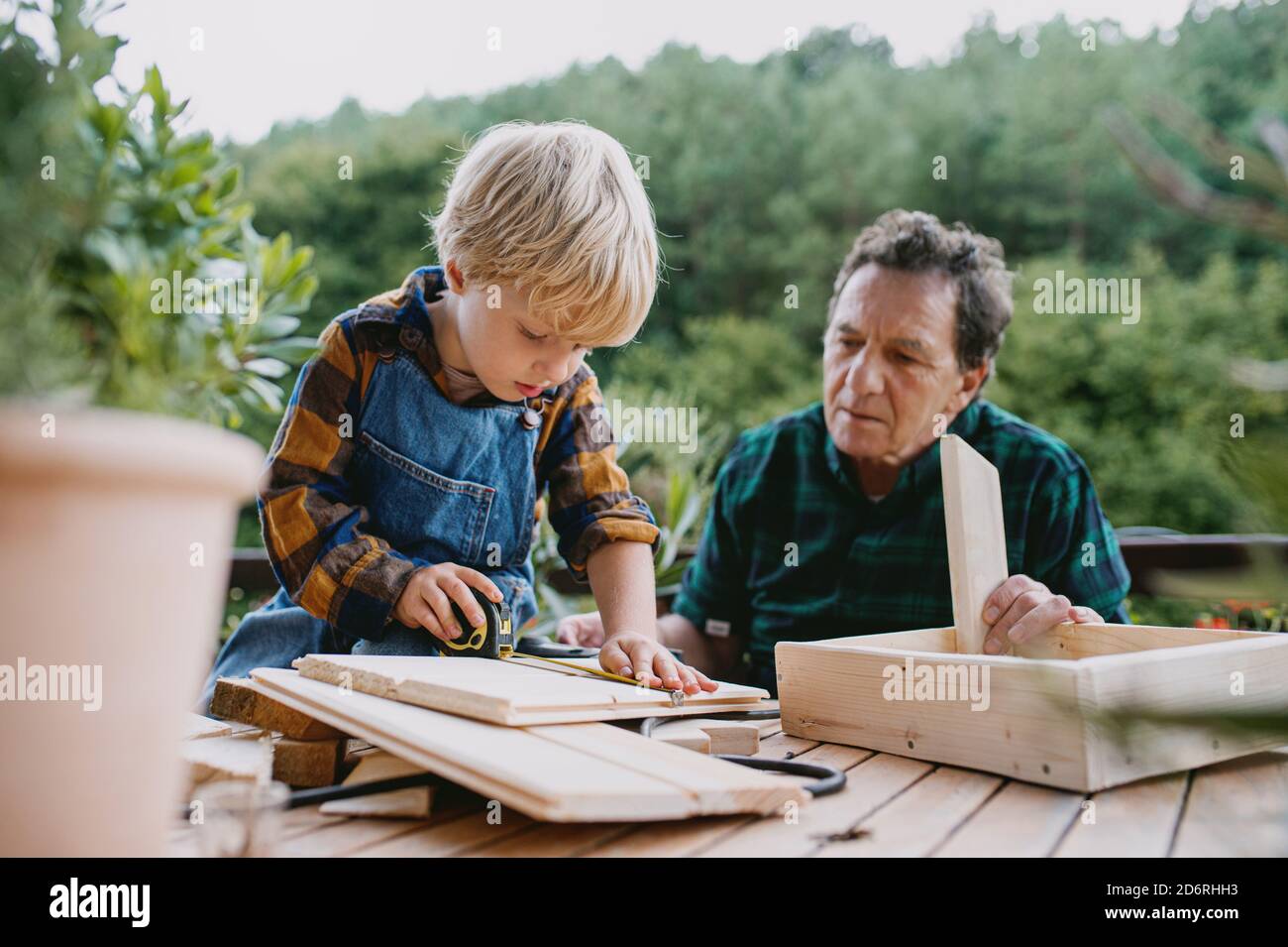 Kleiner Junge mit Senior Großvater im Rollstuhl Bau Vogelhaus, diy-Projekt. Stockfoto
