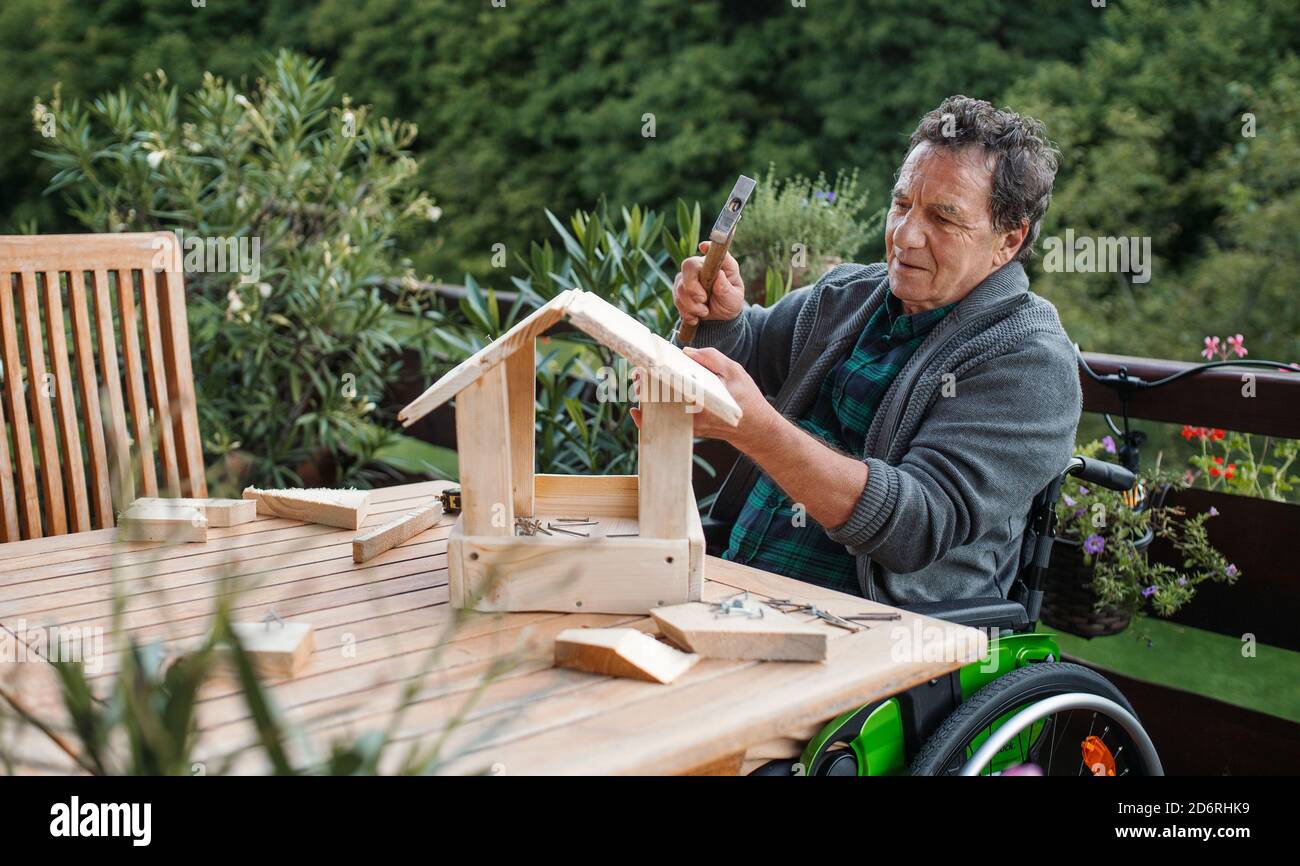 Senior Mann im Rollstuhl Bau Vogelhaus im Freien auf der Terrasse, diy-Projekt. Stockfoto