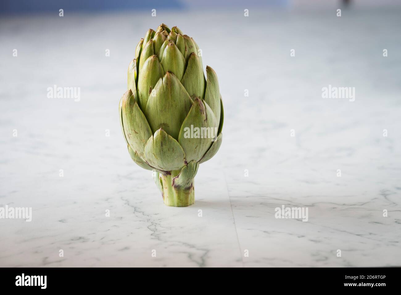 Frische Artischocke auf einer Marmor-Theke Stockfoto