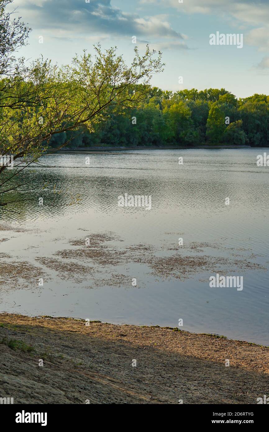 Rohrhofer See bei Brühl Stockfoto