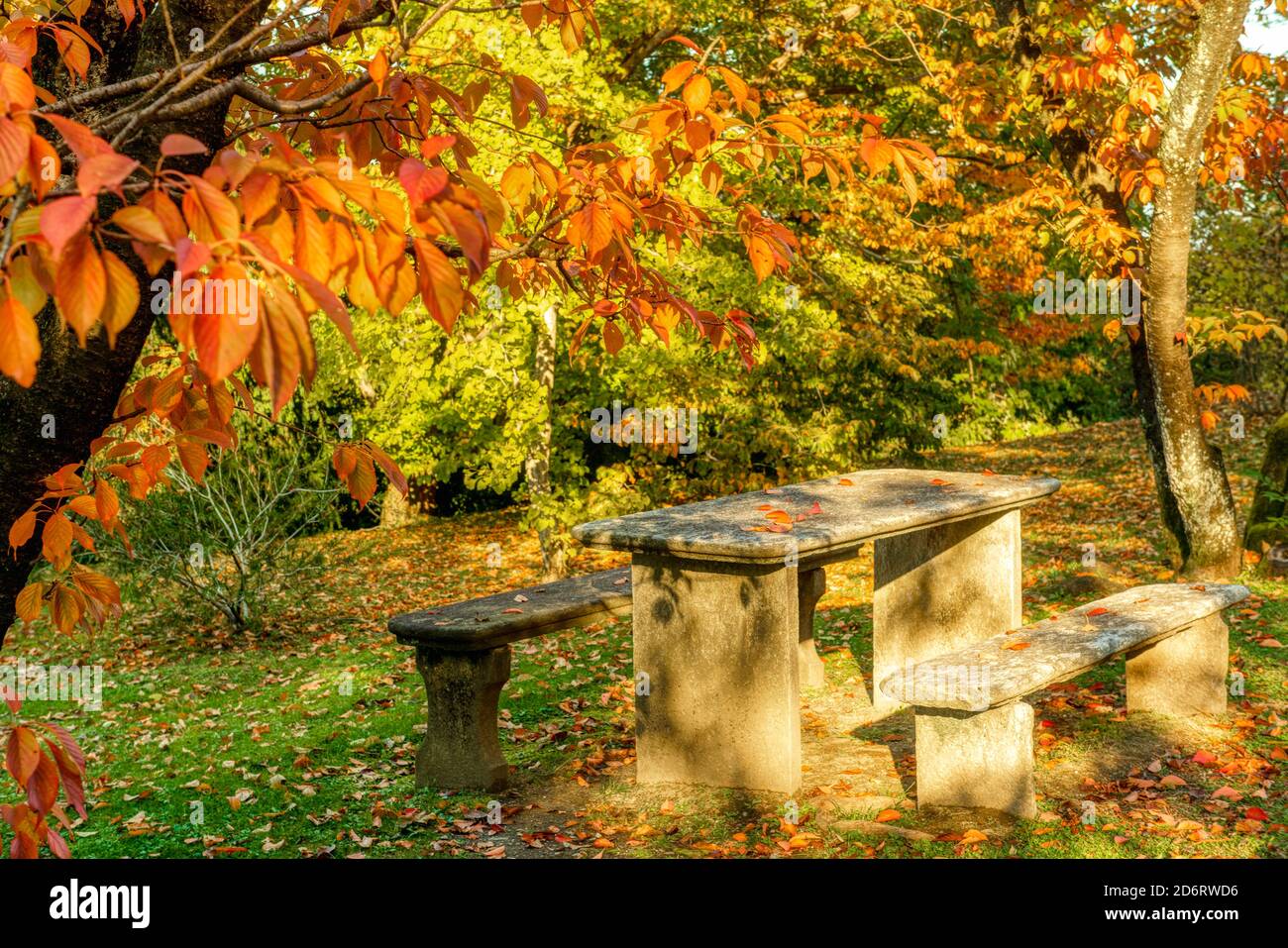 Zwei Bänke und Steintisch im Wald, Herbstsaison Stockfoto