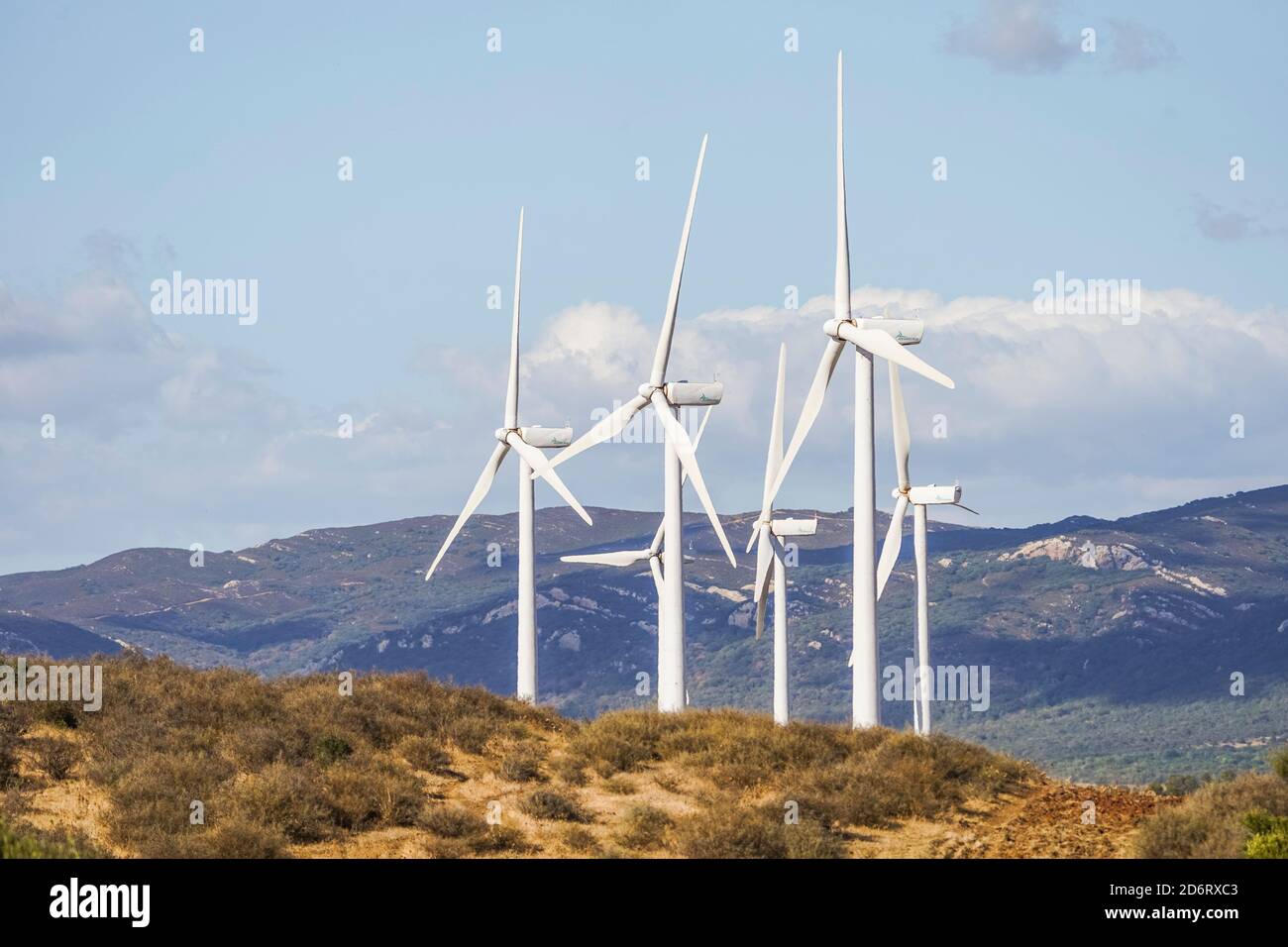 Windturbinen in Tarifa, La Janda, Andalusien, Spanien Stockfoto