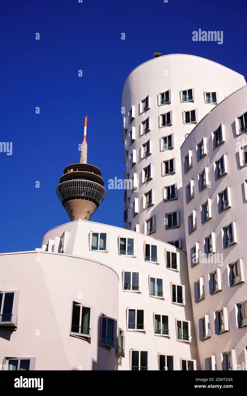Weiße Gebäude des Stararchitekten Frank O. Gehry am Neuen Zollhof/Medienhafen und der Rheinturm, Düsseldorfs Wahrzeichen. Stockfoto