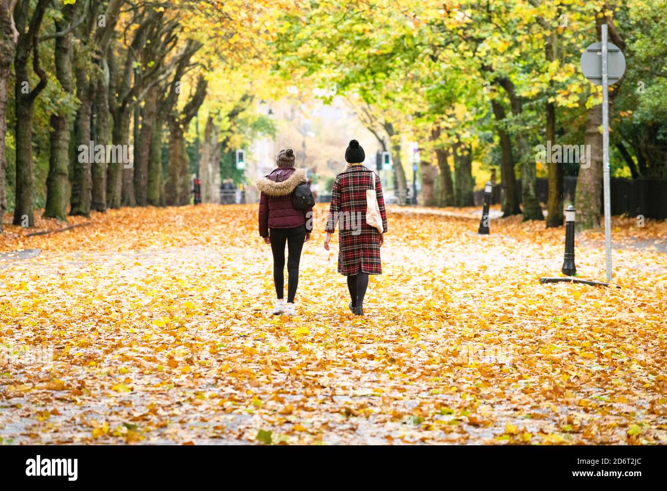 Kelvingrove Park, Glasgow, Scotland, UK - 19 October 2020: UK Weather - Kelvin Way, der durch den Kelvingrove Park verläuft und für den Verkehr gesperrt ist, um eine soziale Distanzierung zu ermöglichen, leuchtet leuchtend orange mit den feuchten abgefallenen Blättern, die normalerweise vom Verkehr beiseite gefegt werden. Stockfoto