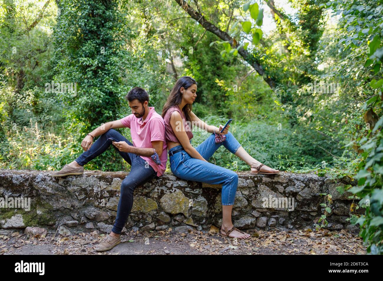 Seitenansicht von jungen Frauen und Männern, die sich im grünen Park zurücklehnen und Smartphones durchsuchen Stockfoto