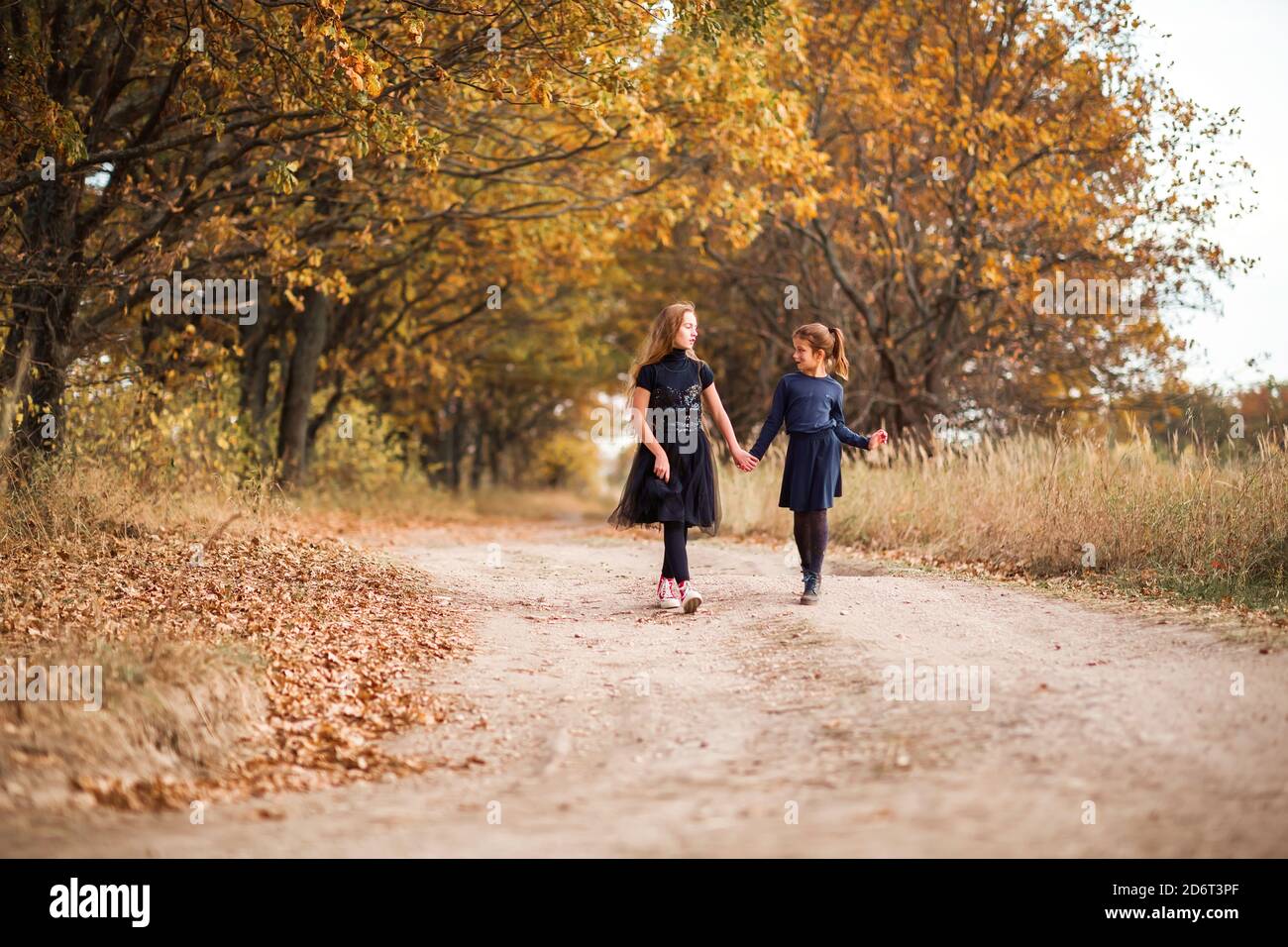 Zwei Mädchen im Teenageralter gehen im warmen Herbst an einer Waldstraße entlang. Stockfoto