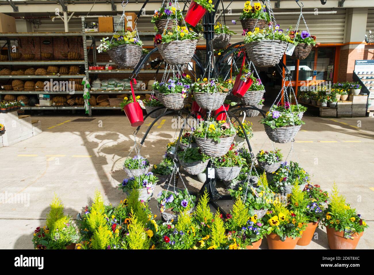 Eine Ausstellung von Hängekörben, England, Großbritannien. Stockfoto